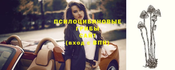 спайс Приозерск