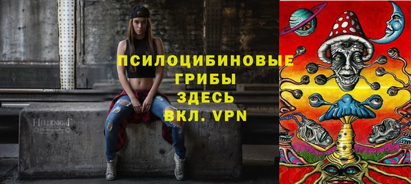 шишки Алзамай
