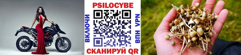 Псилоцибиновые грибы Cubensis  Кола 